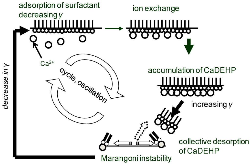Entropy 12 02308 g009 1024
