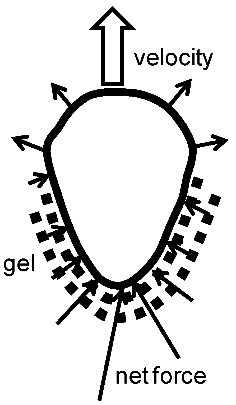 Entropy 12 02308 g011 1024