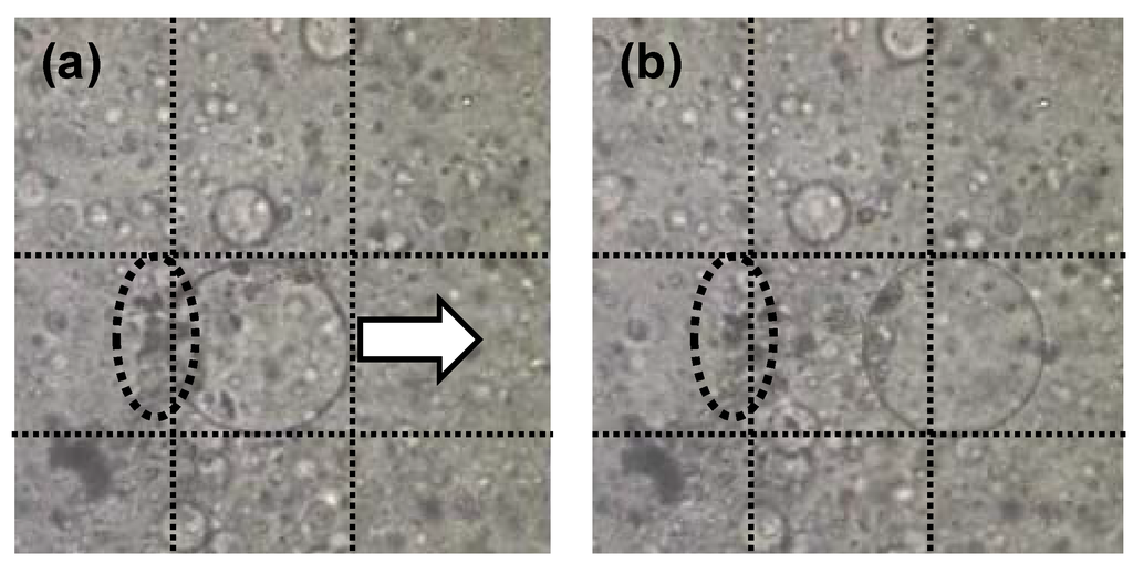 Entropy 12 02308 g013 1024
