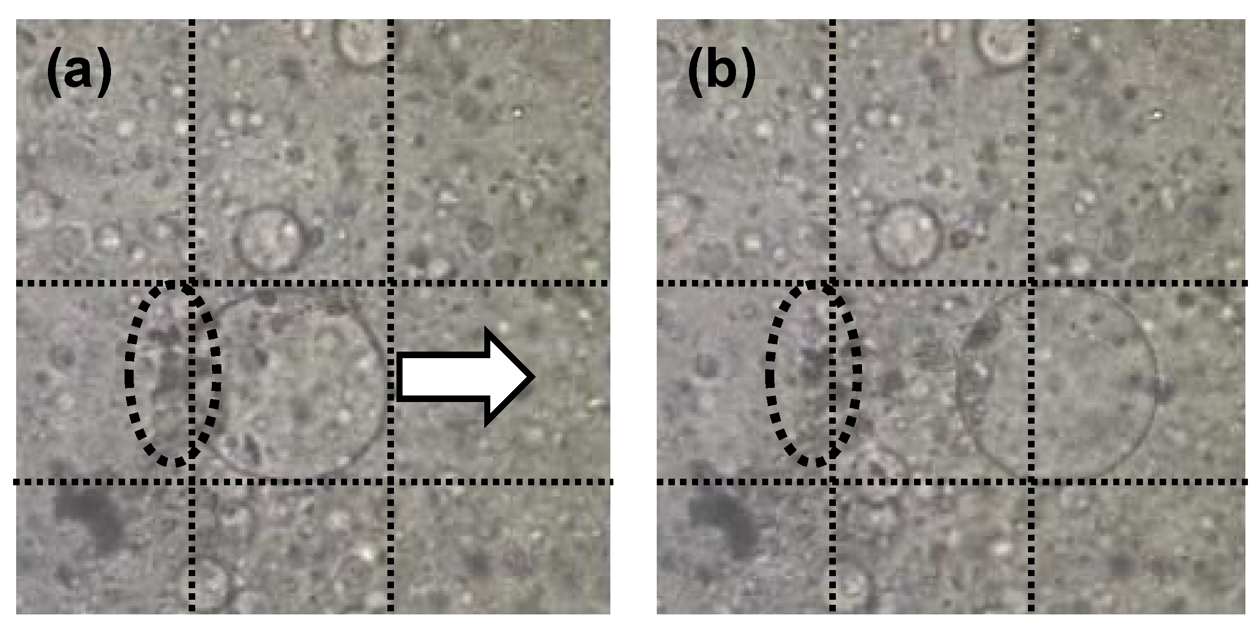 Entropy 12 02308 g013