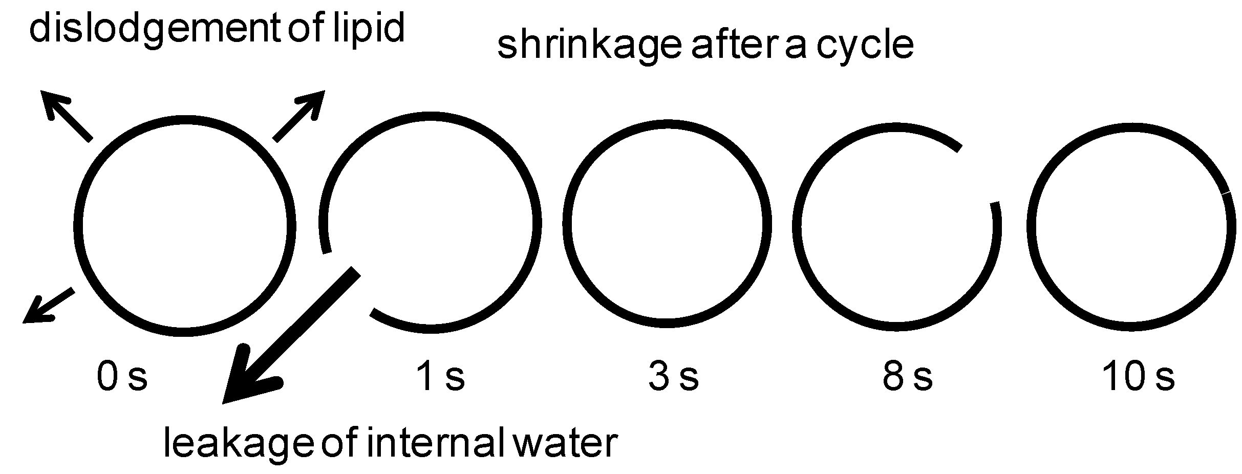 Entropy 12 02308 g014