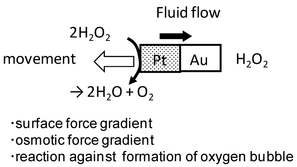 Entropy 12 02308 g015 1024