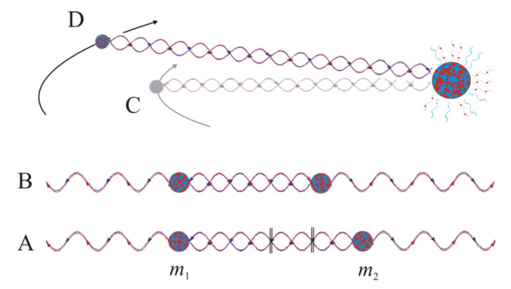 Entropy 12 02333 g007 1024