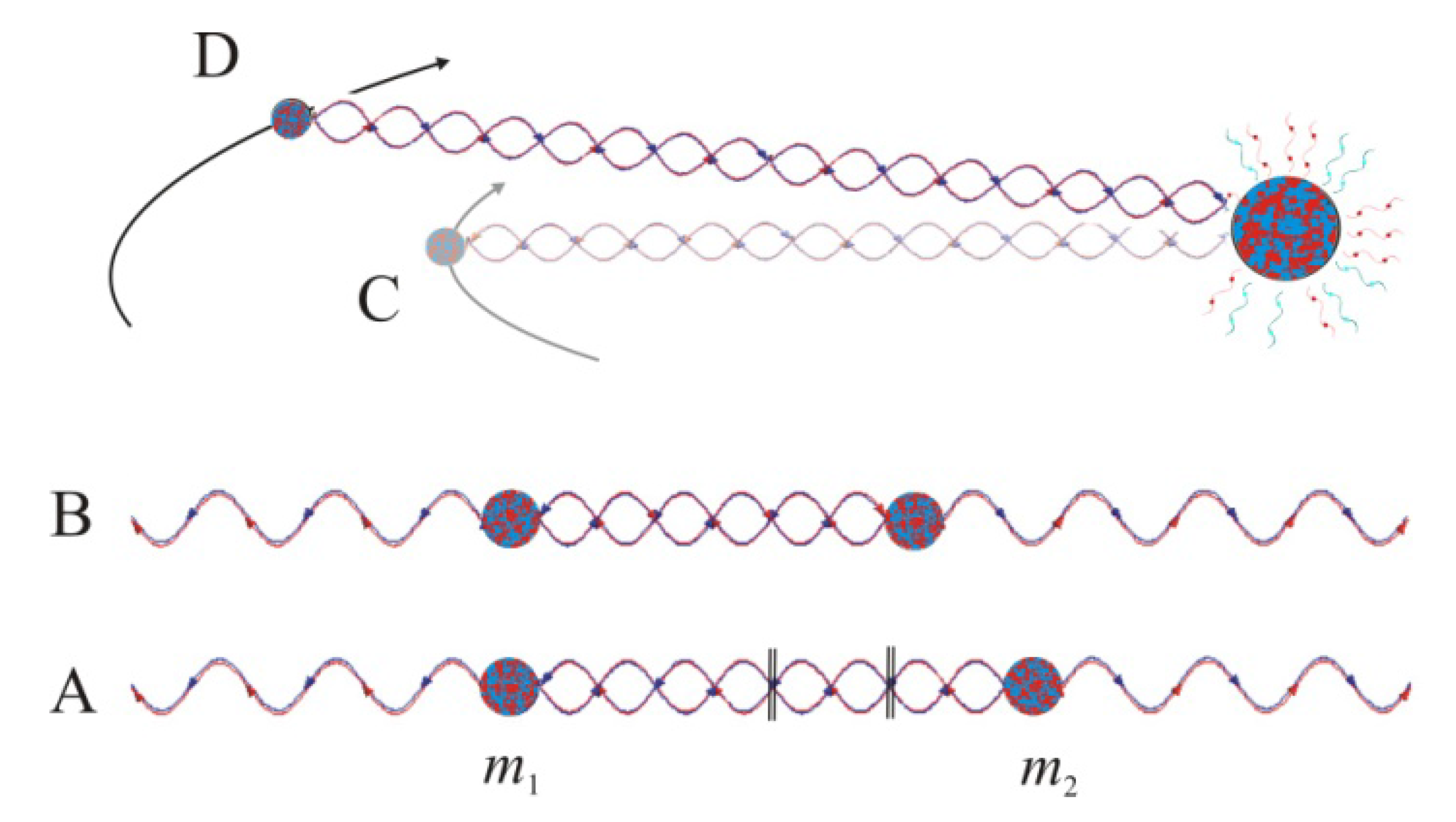Entropy 12 02333 g007