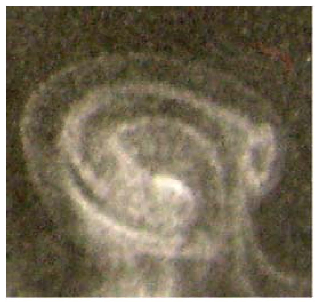 Entropy 13 00402 g008