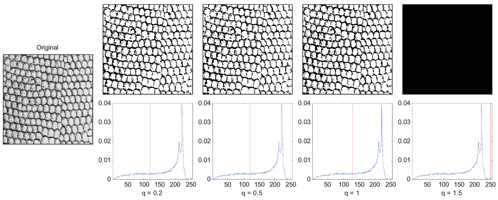 Entropy 13 00841 g009 1024