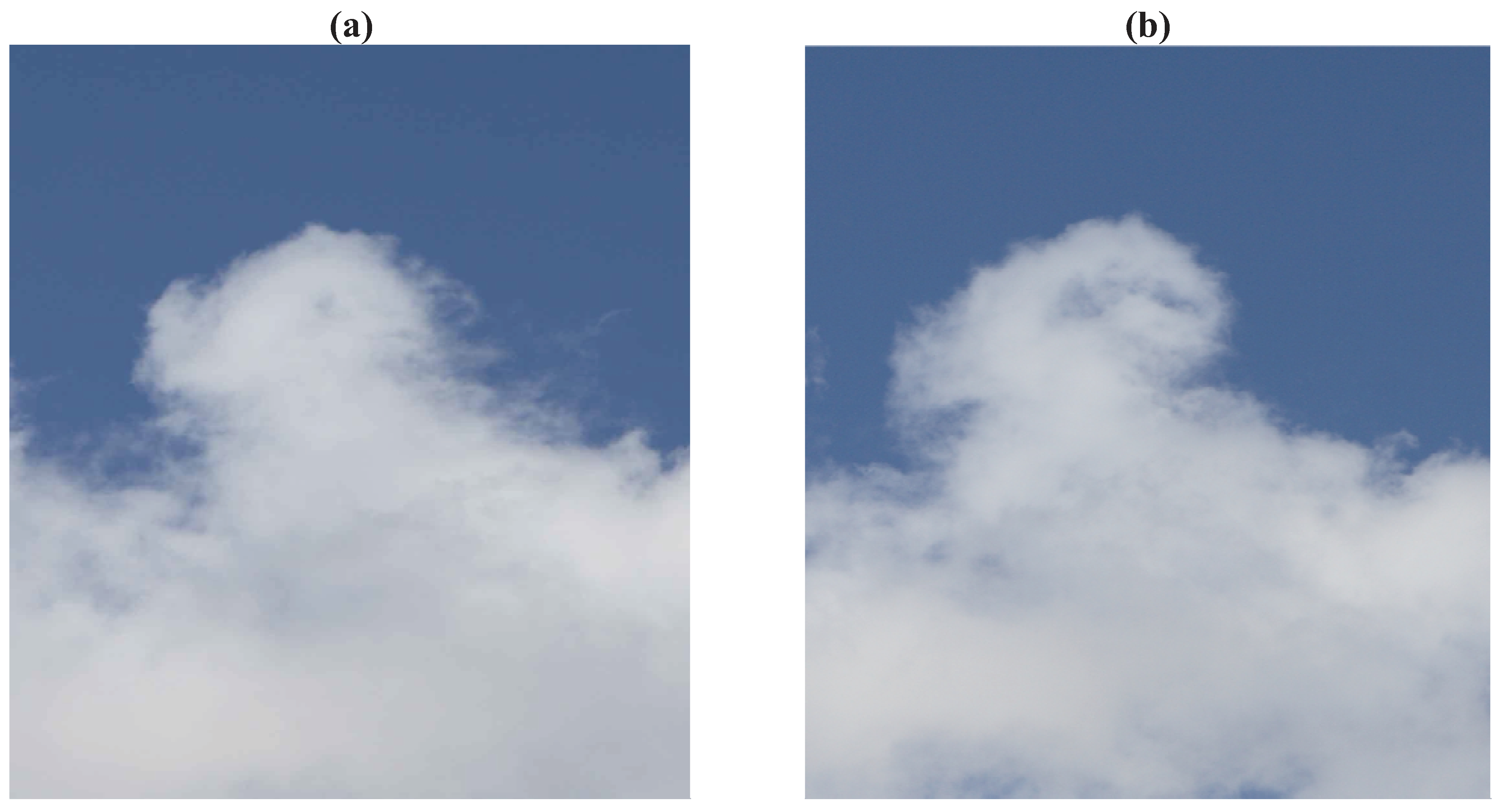 Entropy 13 01555 g017a