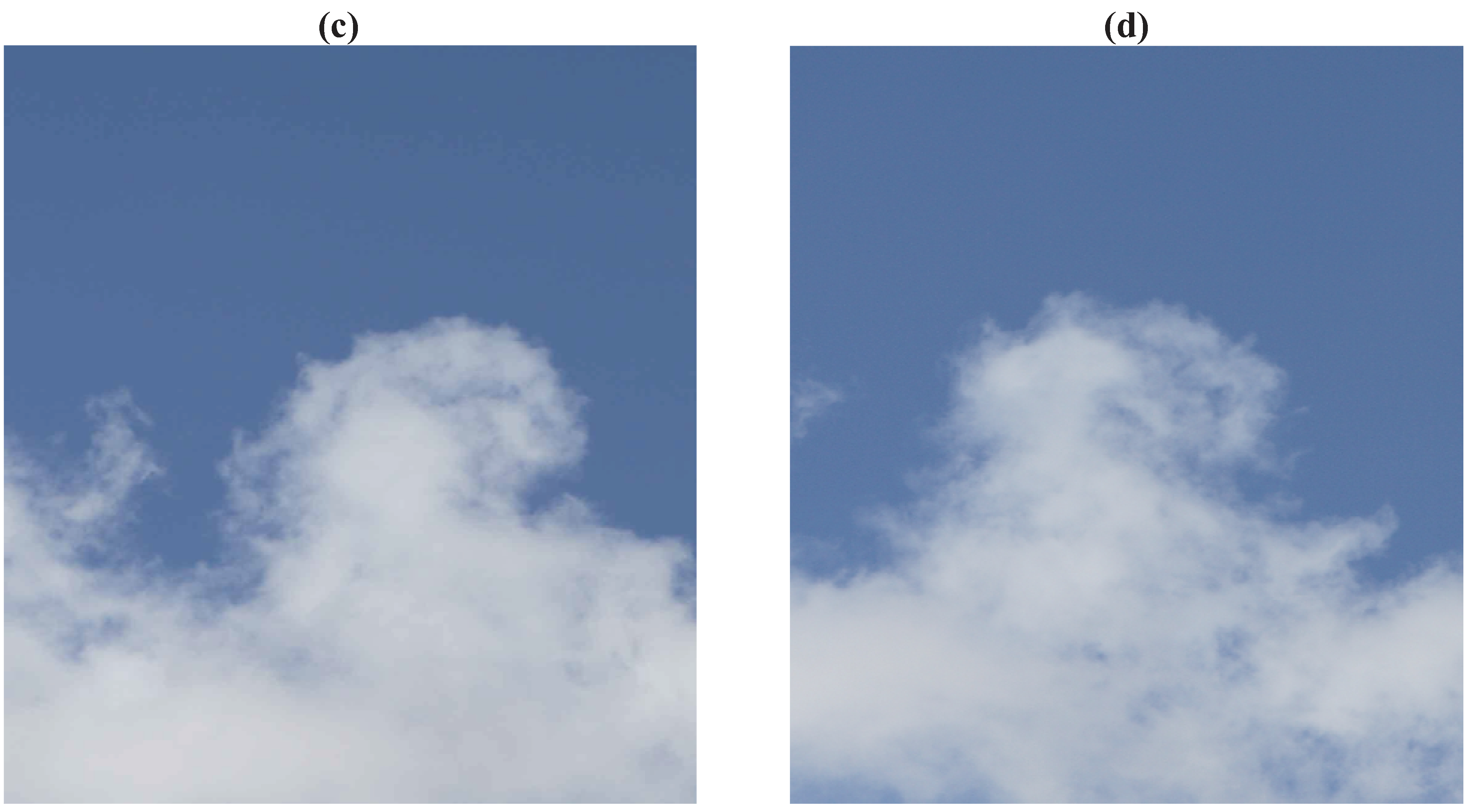 Entropy 13 01555 g017b