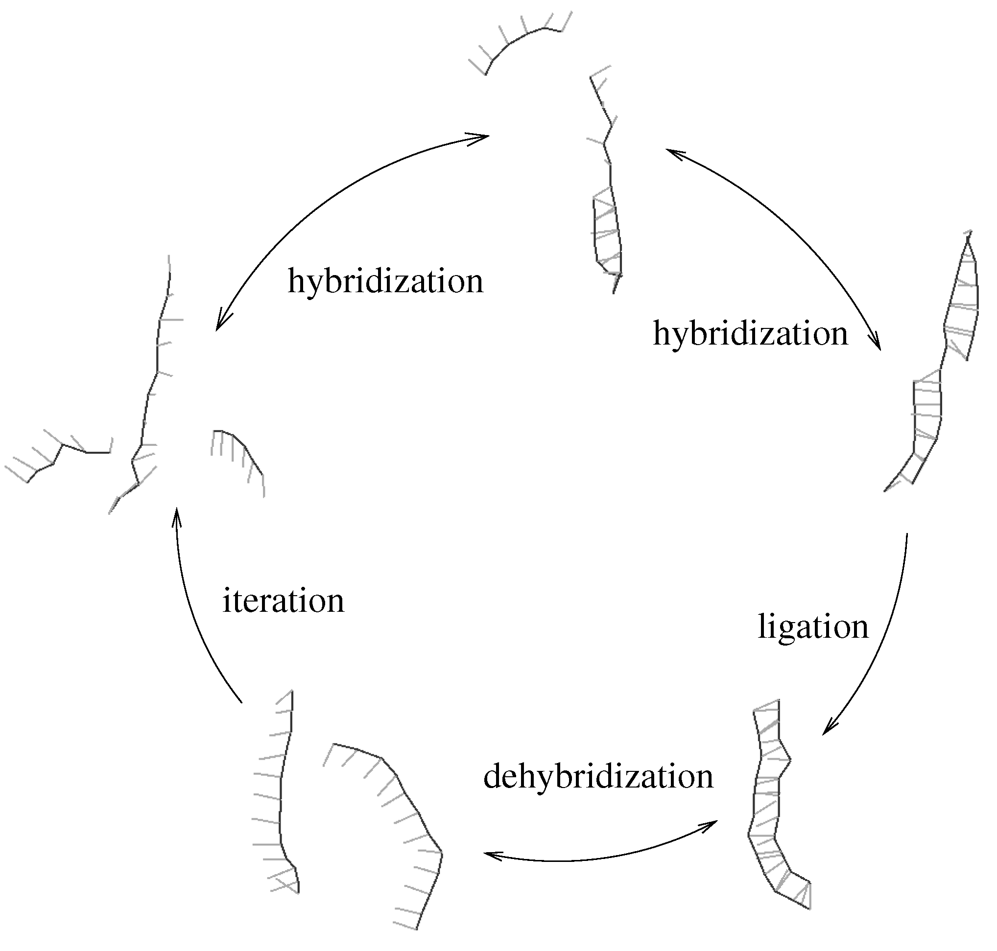 Entropy 13 01882 g001