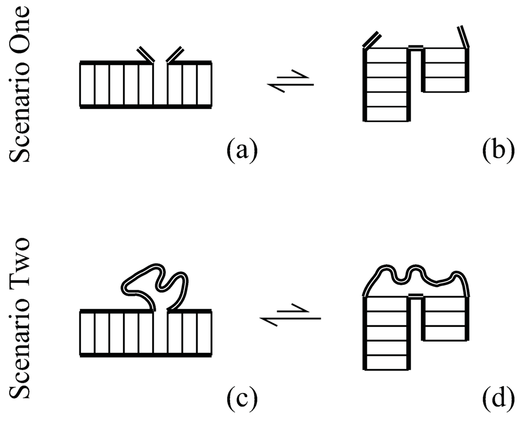 Entropy 13 01958 g001 1024