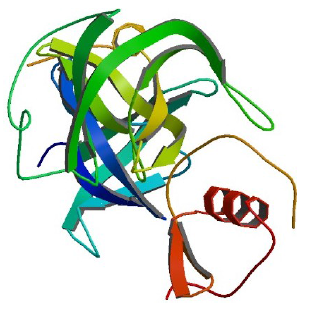 Entropy 14 00213 g001 1024