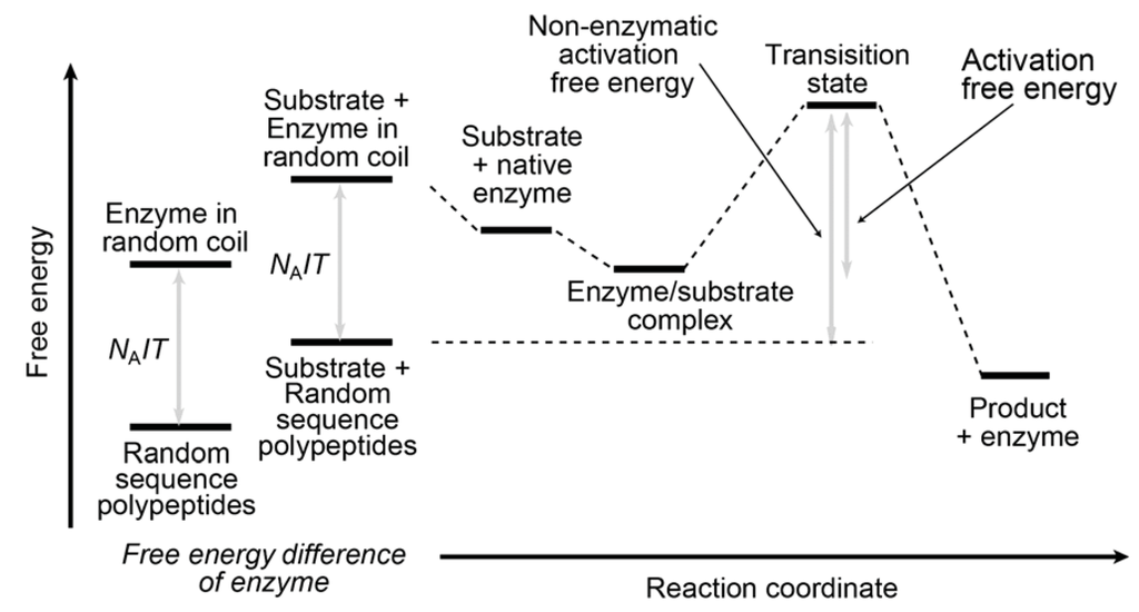 Entropy 14 00233 g001 1024