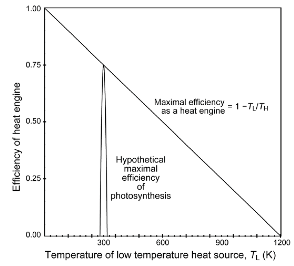 Entropy 14 00233 g003 1024