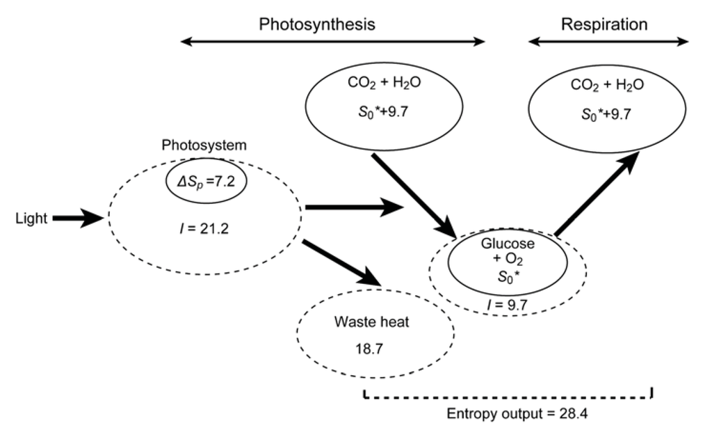 Entropy 14 00233 g004 1024