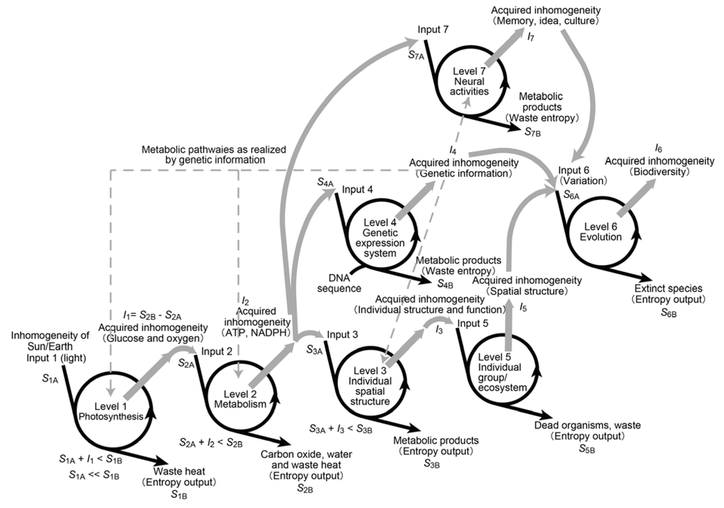 Entropy 14 00233 g005 1024