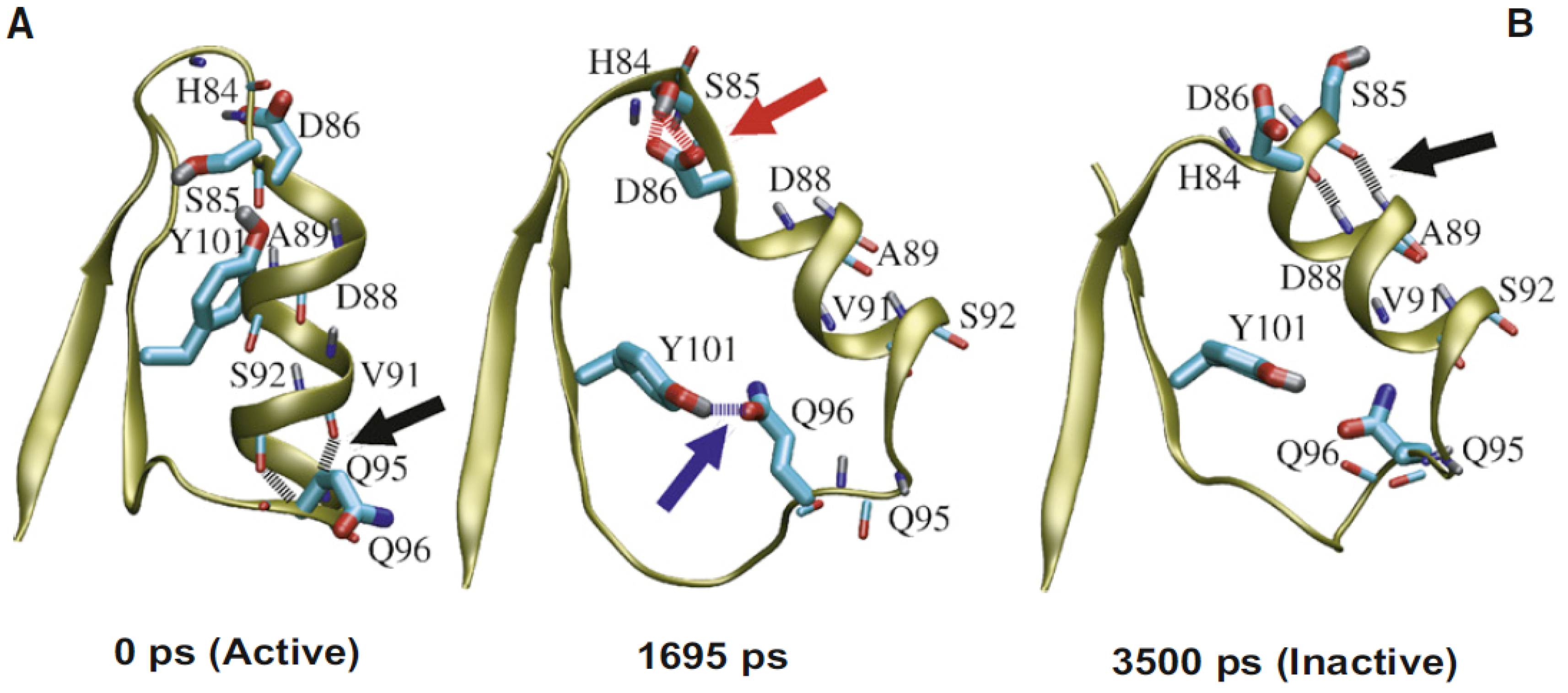 Entropy 14 00581 g005