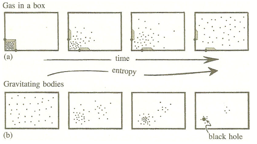 Entropy 14 02456 g002 1024