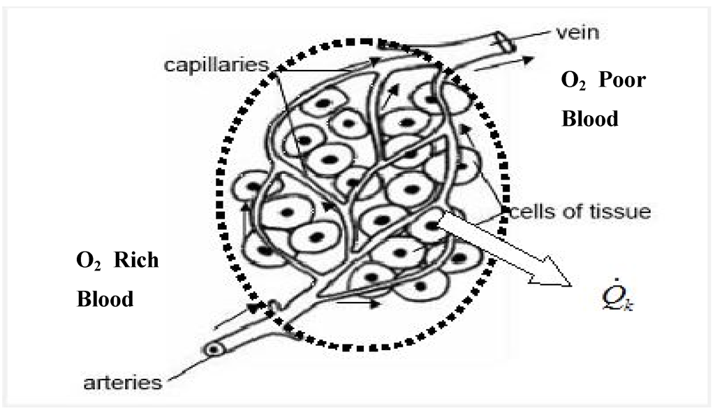 Entropy 14 02550 g002 1024