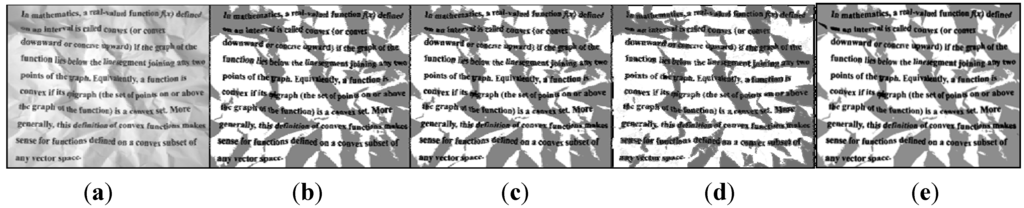 Entropy 15 02181 g005 1024