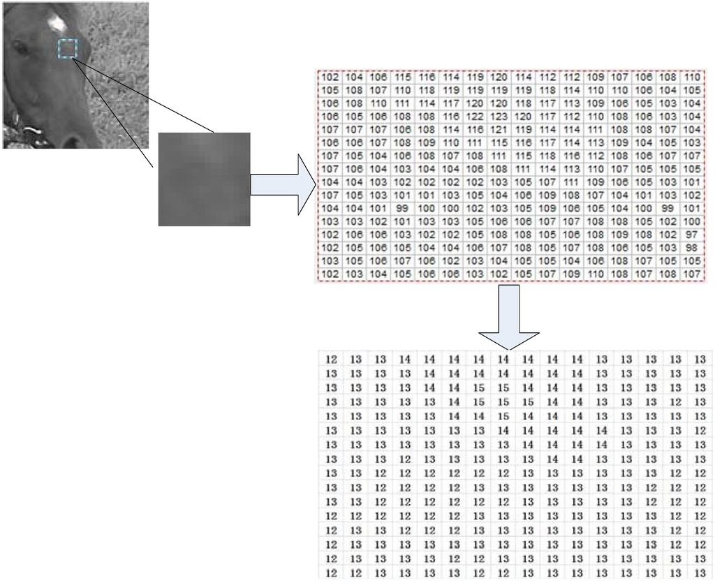 Entropy 15 02277 g004 1024
