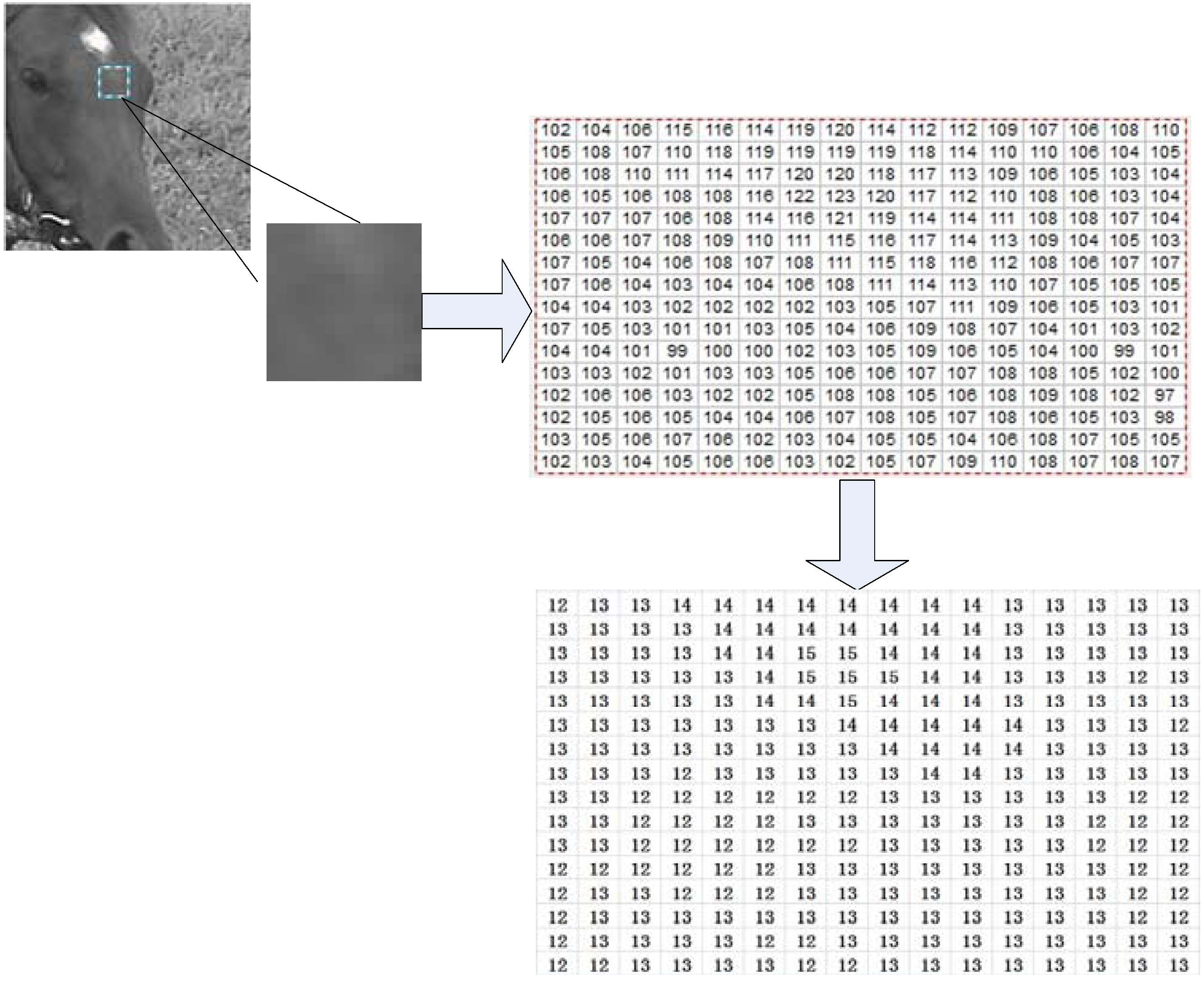 Entropy 15 02277 g004
