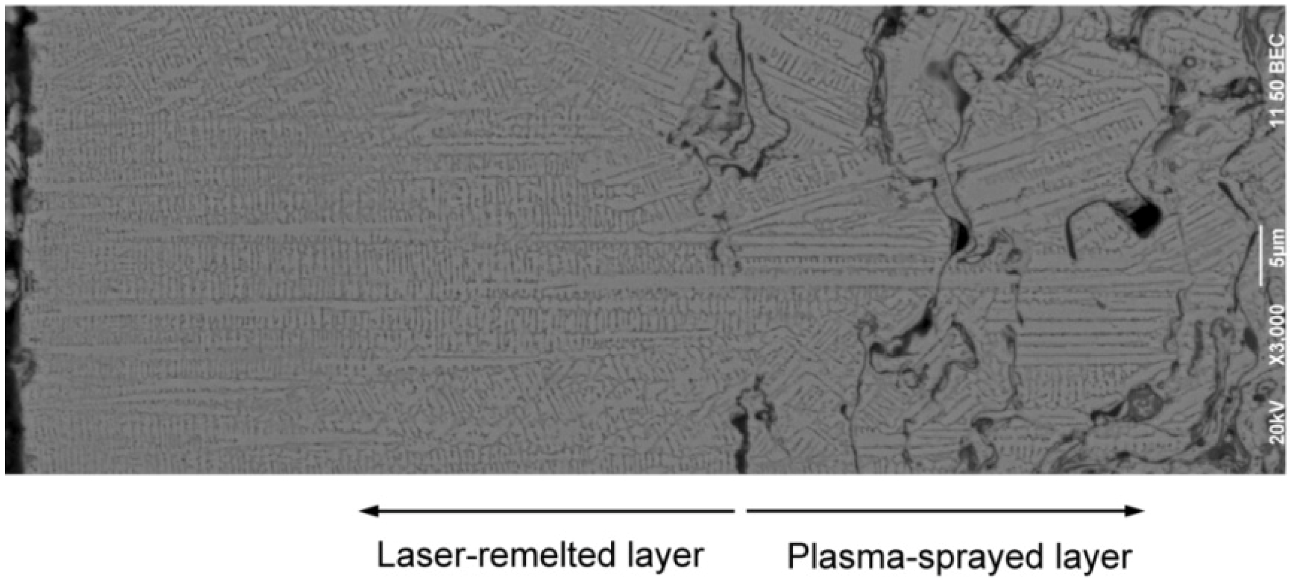 Entropy 15 02833 g003