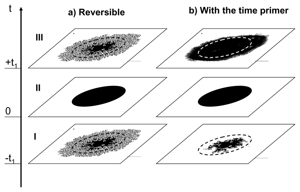 Entropy 16 01191f3 1024