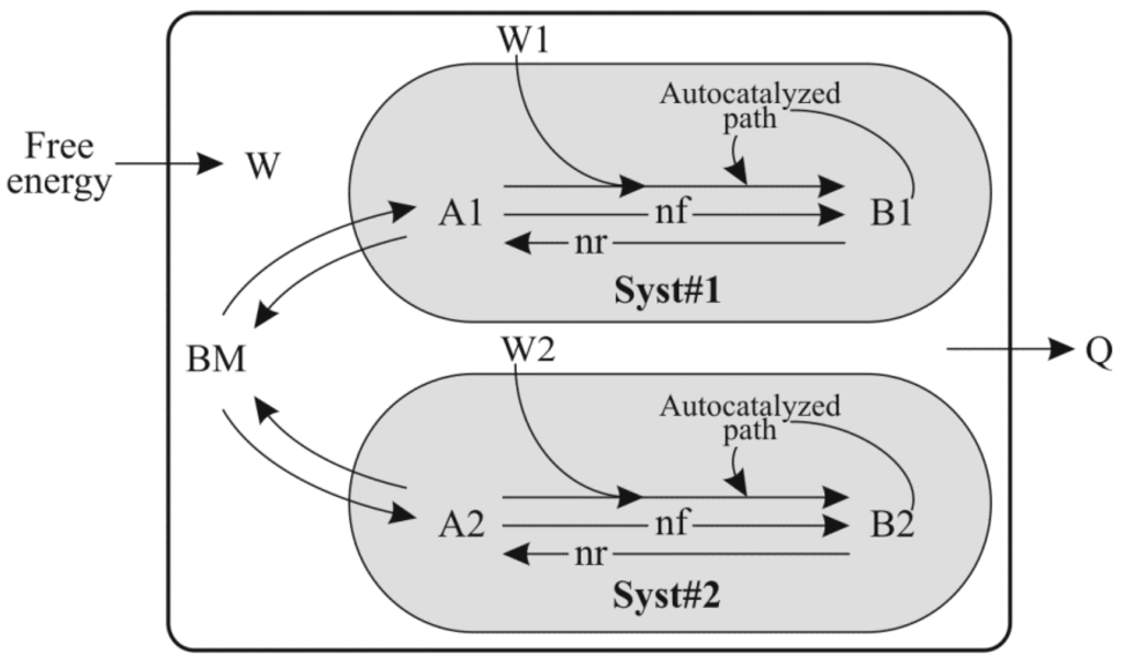 Entropy 17 05274 g001 1024