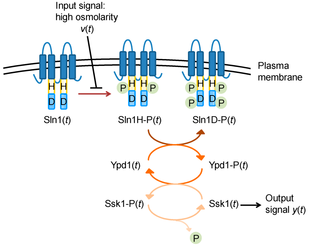 Entropy 17 06801 g003 1024