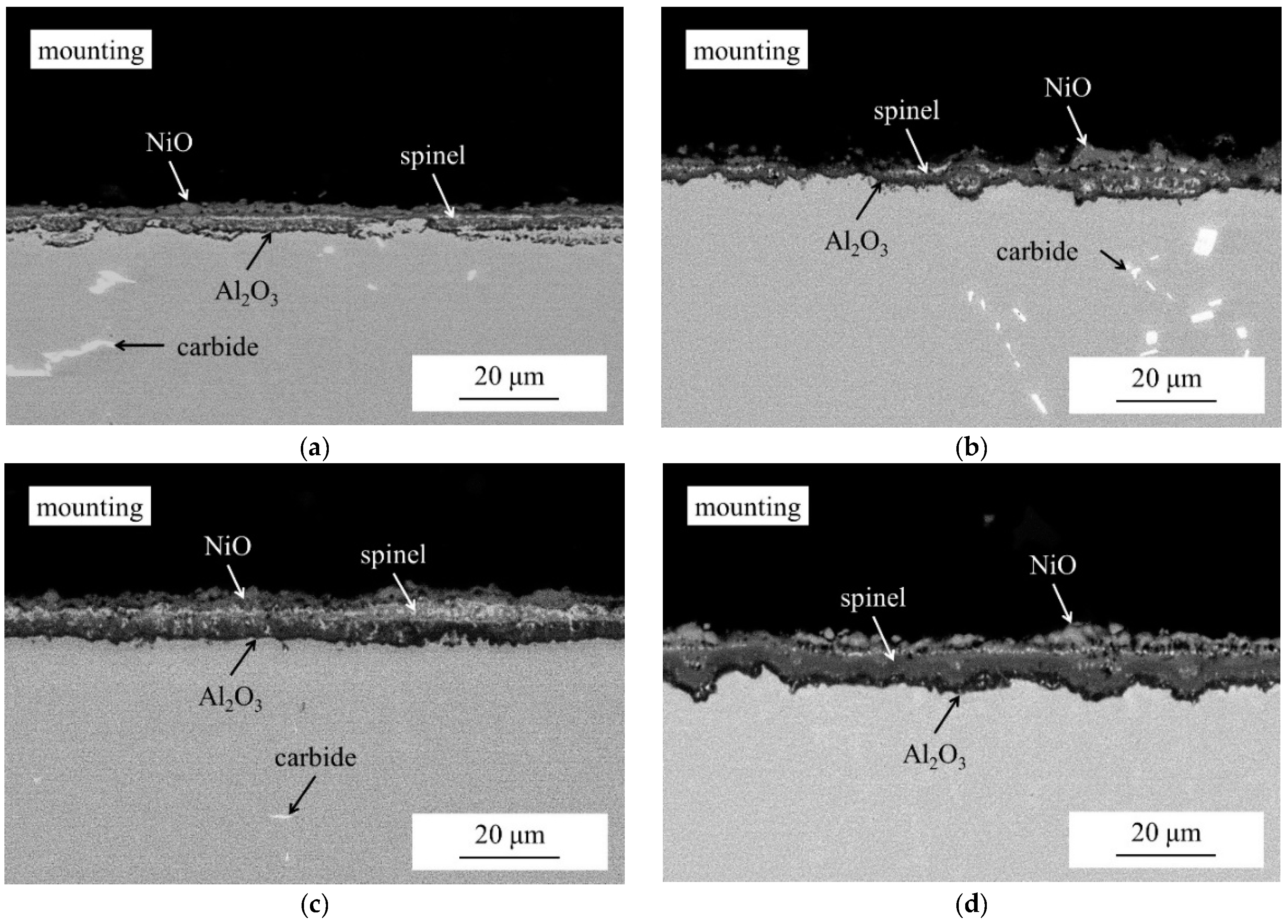 Entropy 18 00062 g006