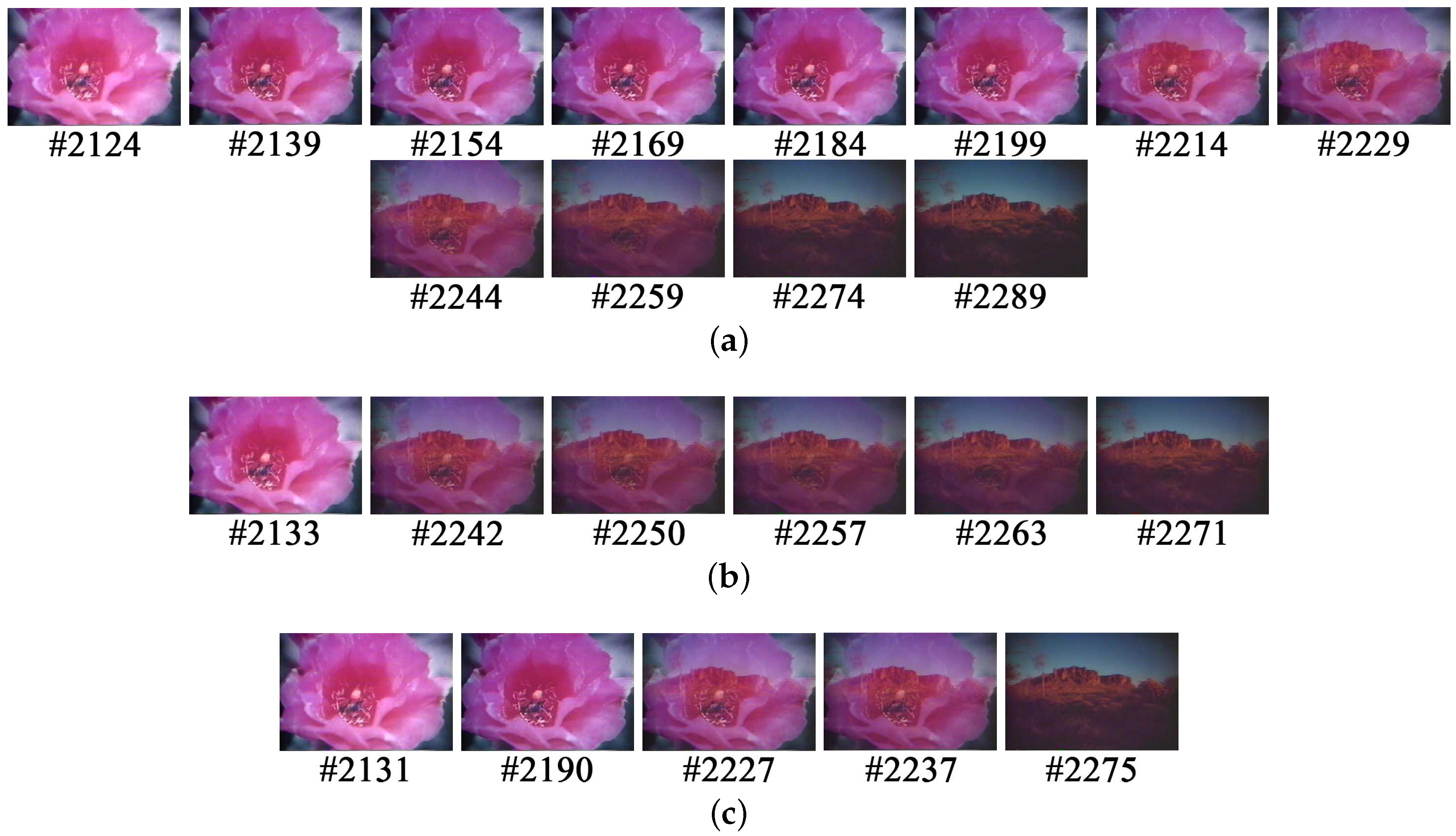 Entropy 18 00073 g014