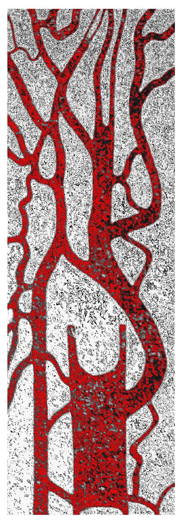 Entropy 18 00249 g001