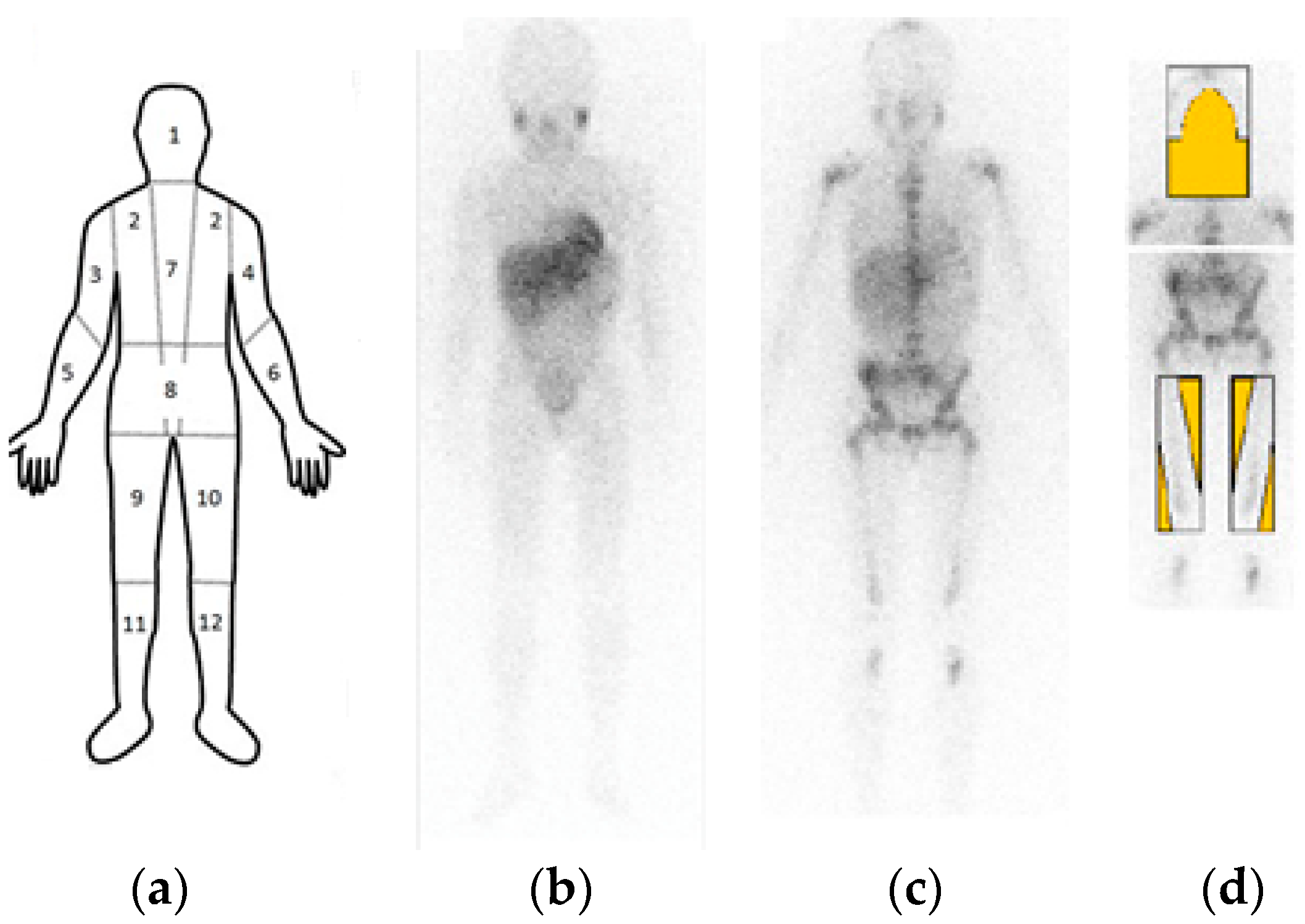 Entropy 18 00349 g001