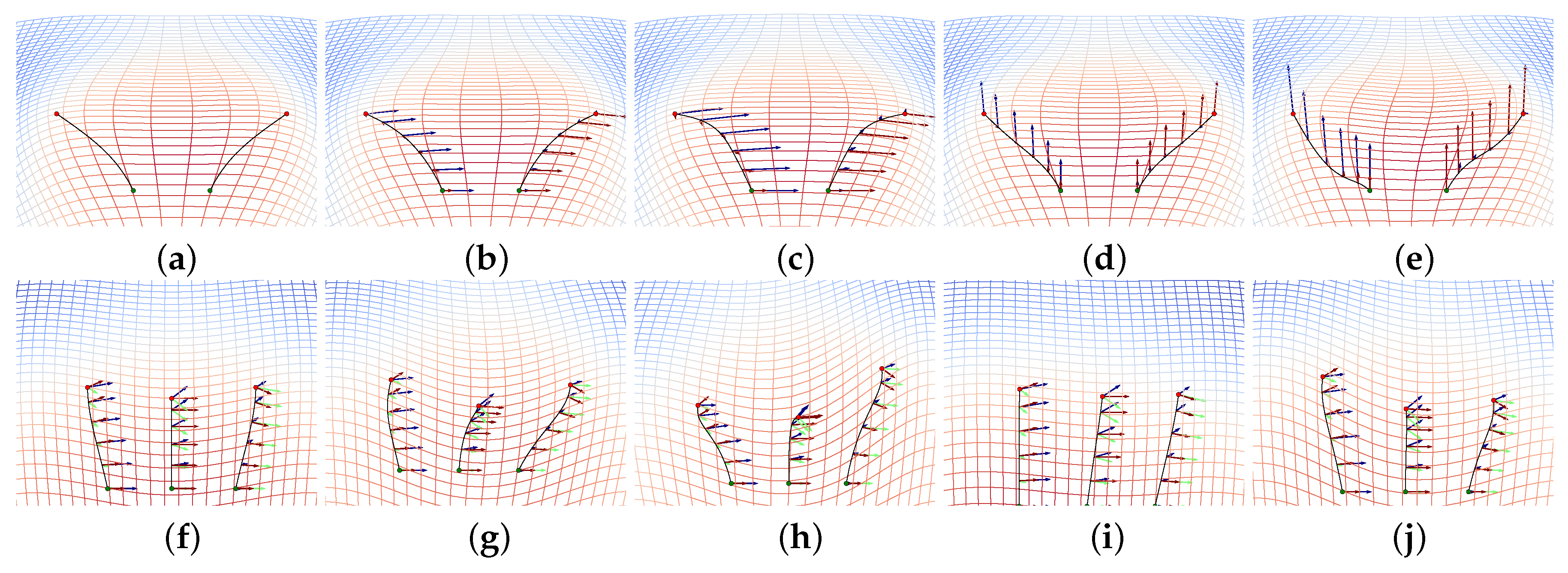 Entropy 18 00425 g007