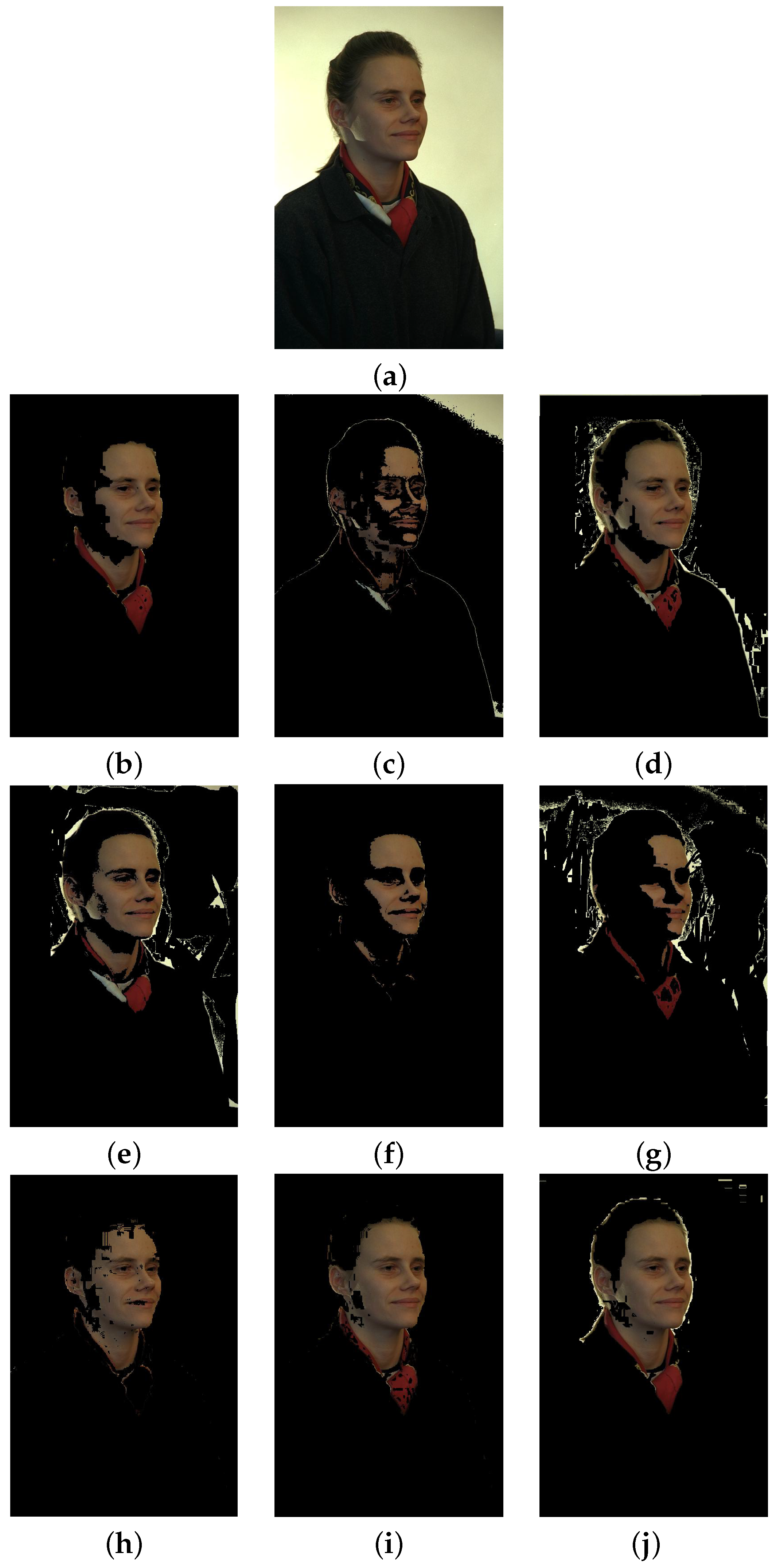 Entropy 19 00026 g013