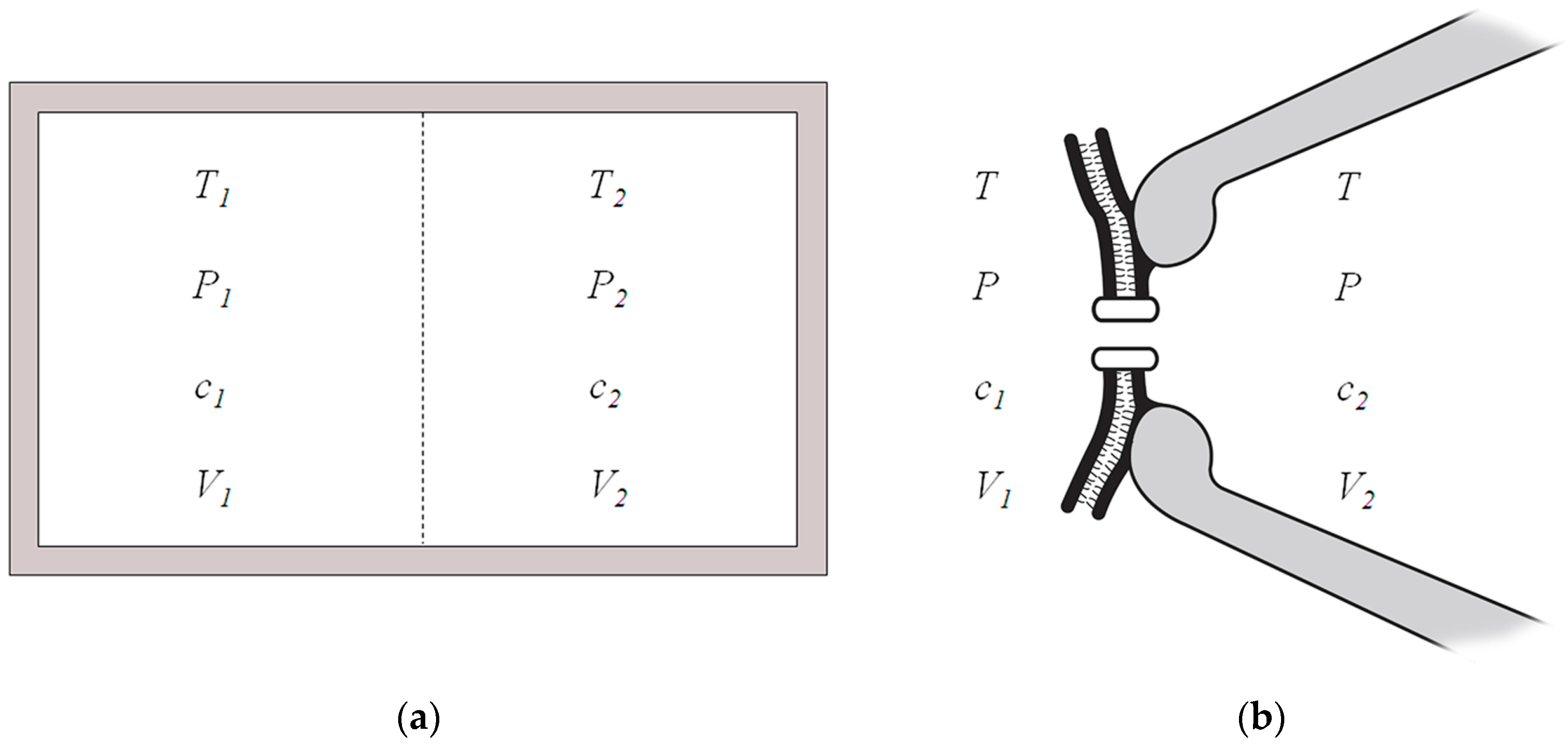 Entropy 19 00040 g001