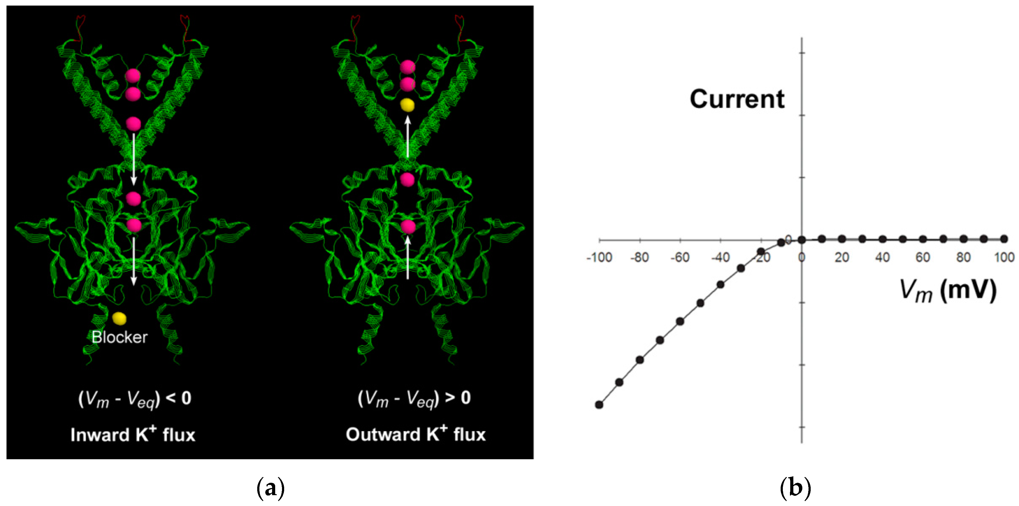 Entropy 19 00040 g003