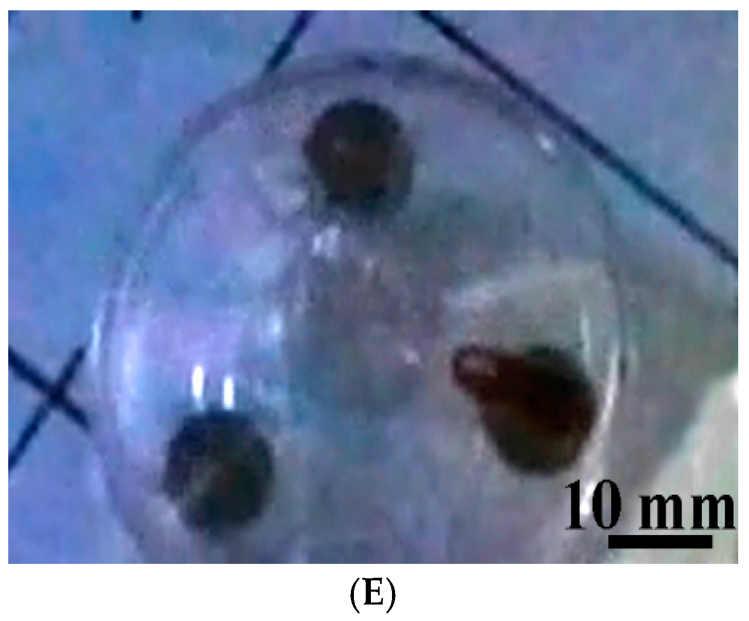 Entropy 19 00123 g004b