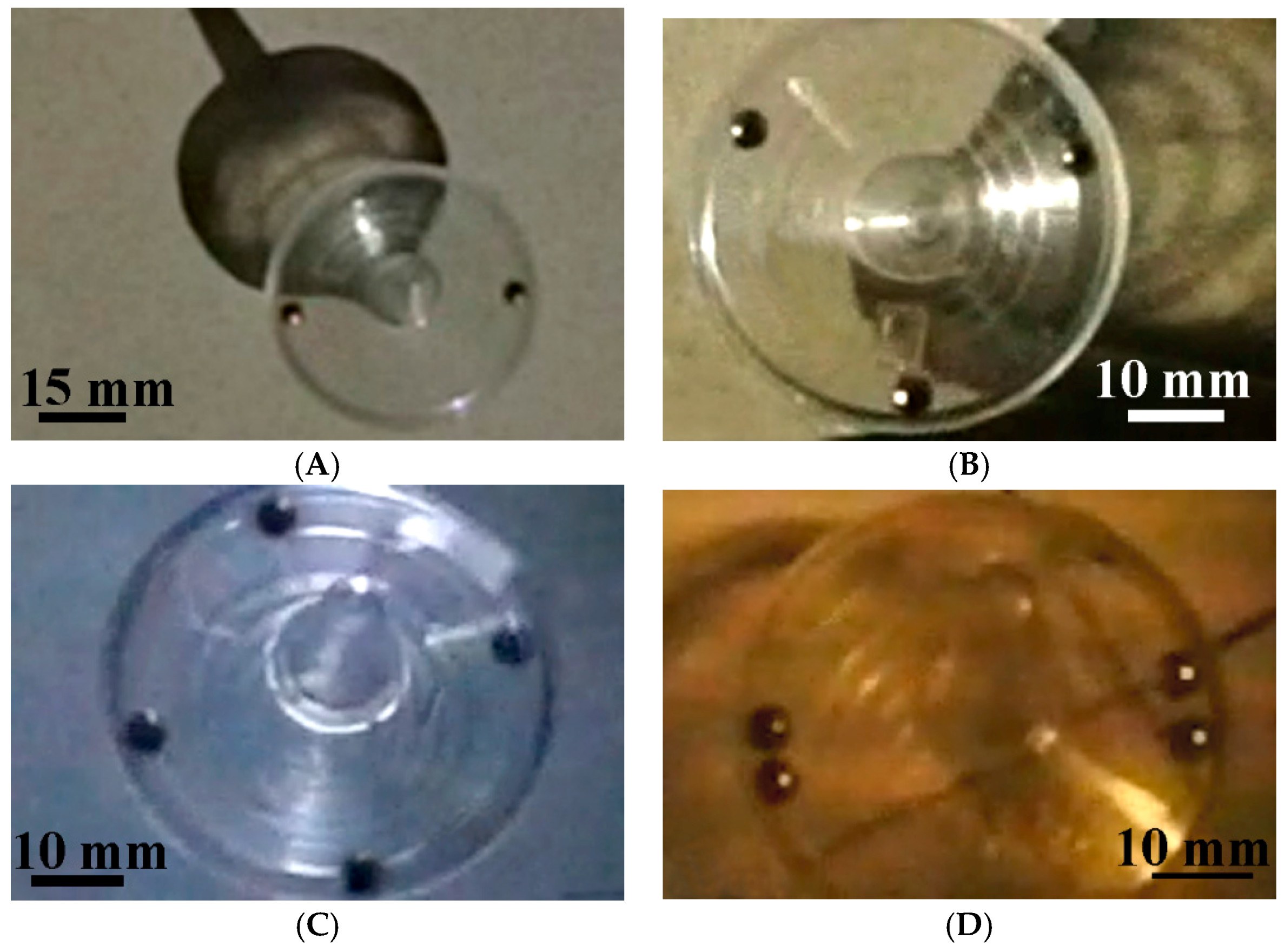 Entropy 19 00123 g005