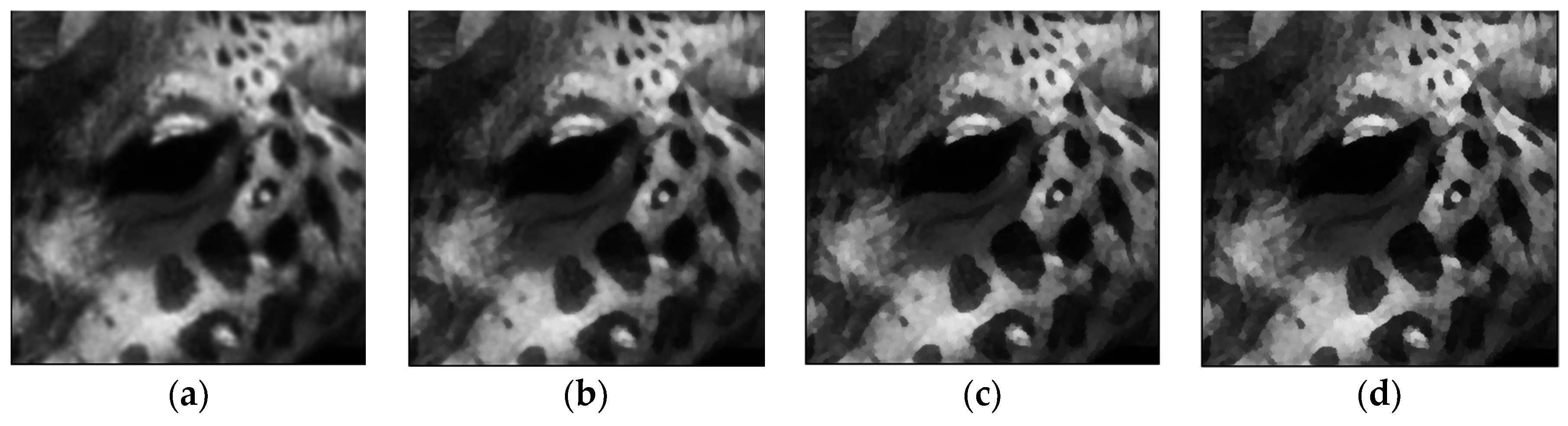 Entropy 19 00142 g008a