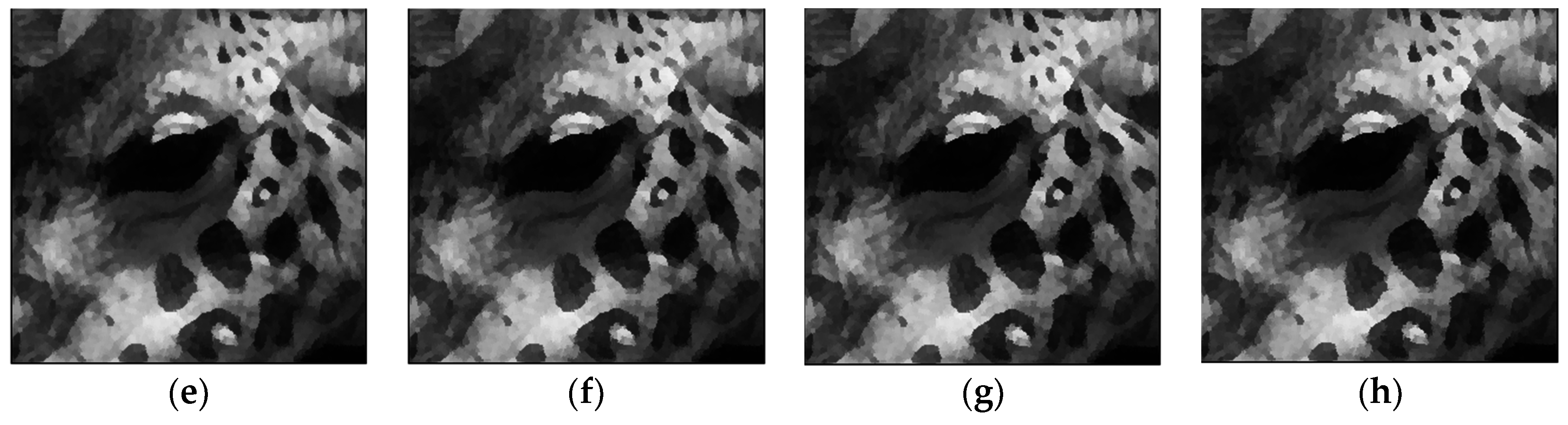 Entropy 19 00142 g008b