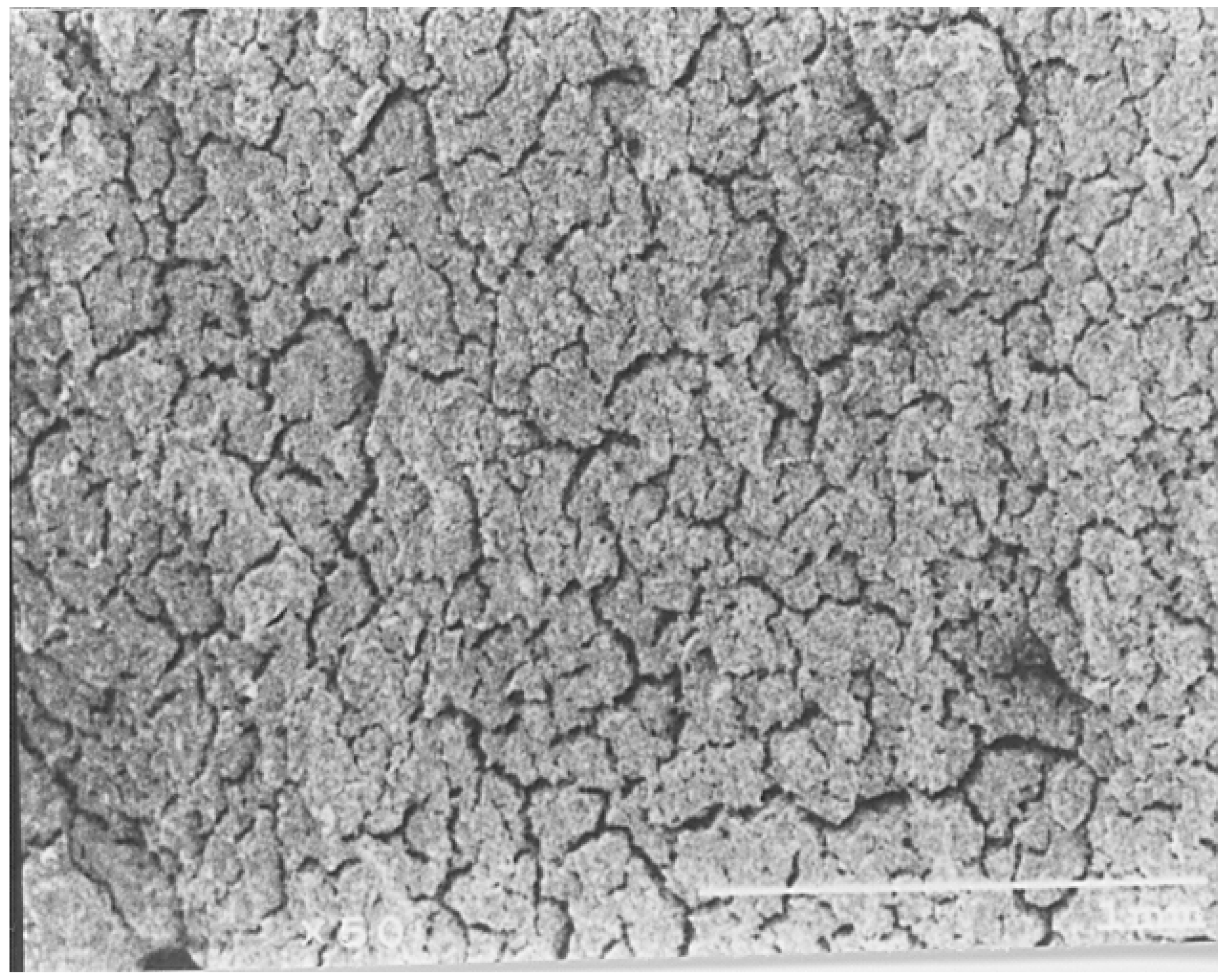 Entropy 19 00161 g003