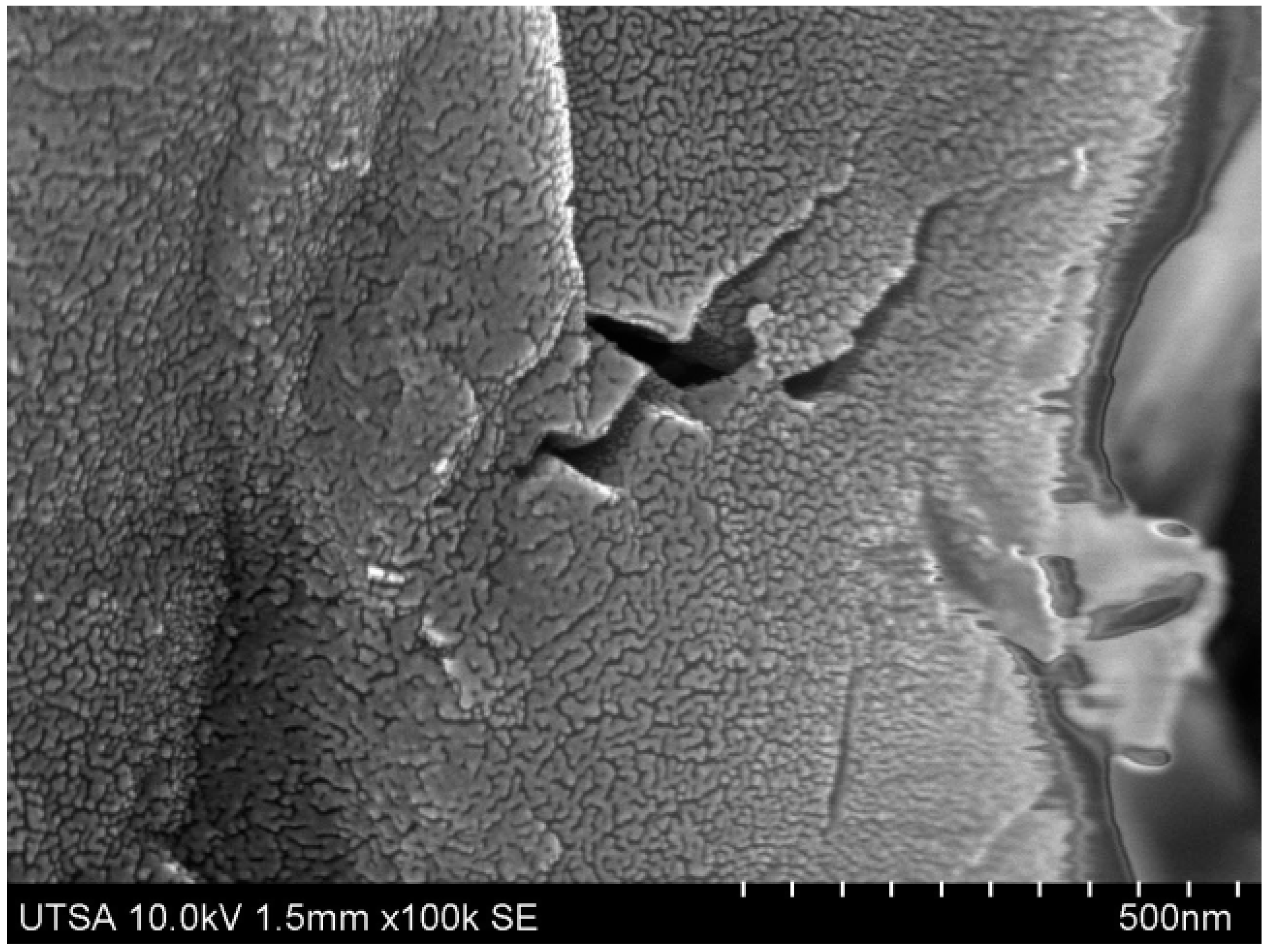 Entropy 19 00161 g004