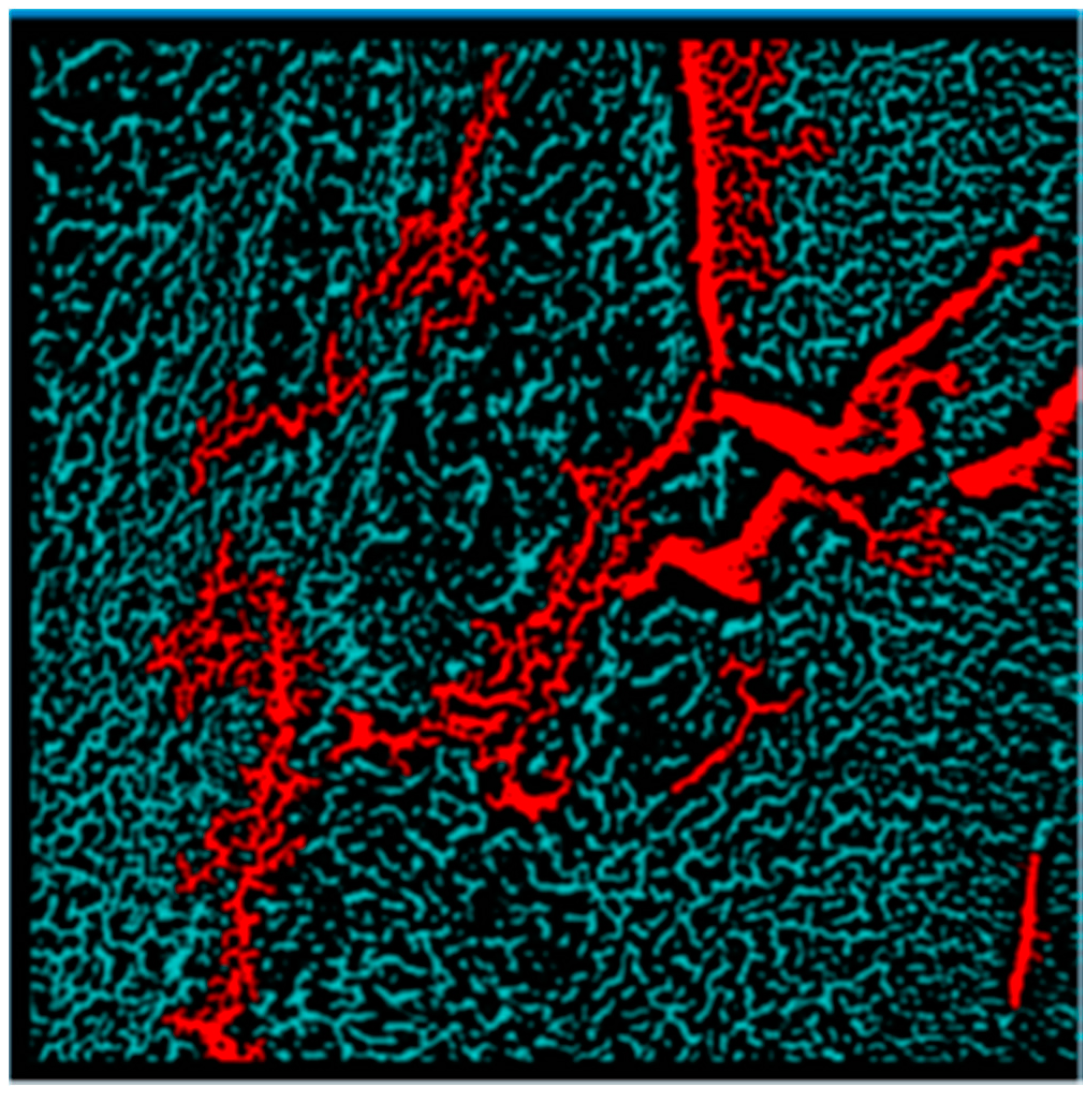 Entropy 19 00161 g005