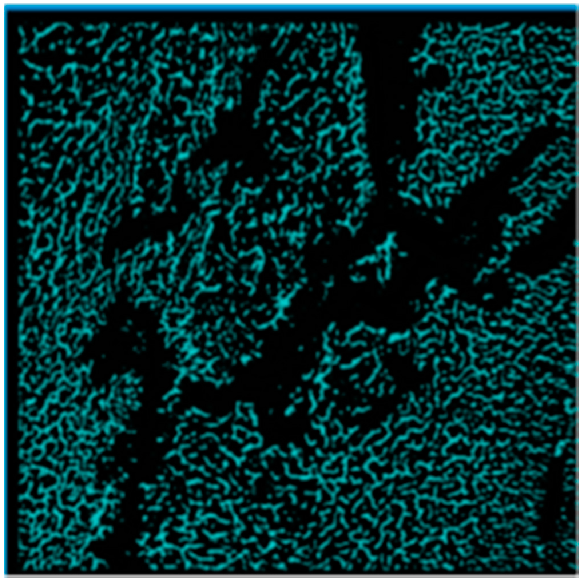 Entropy 19 00161 g006