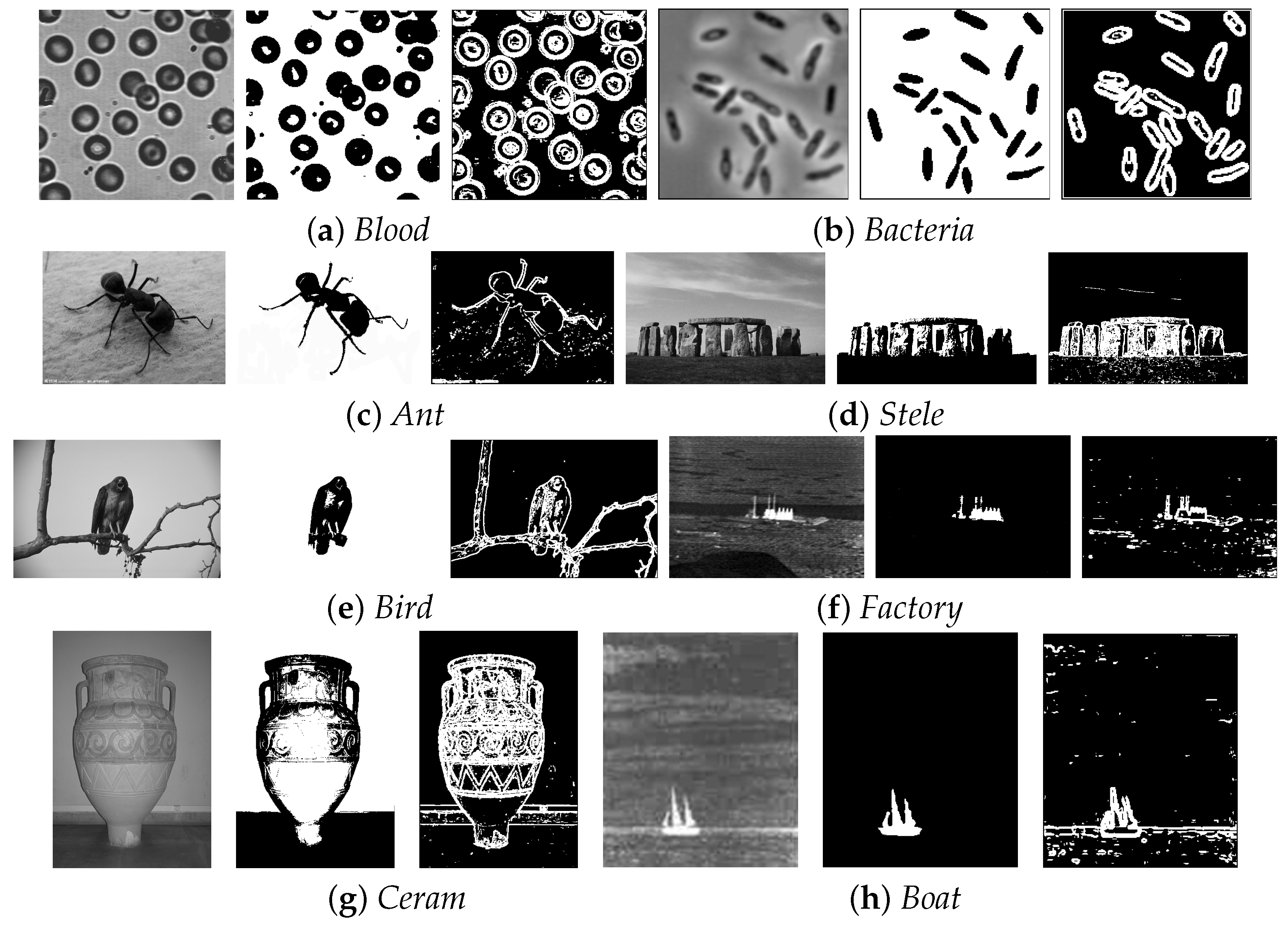 Entropy 19 00191 g002