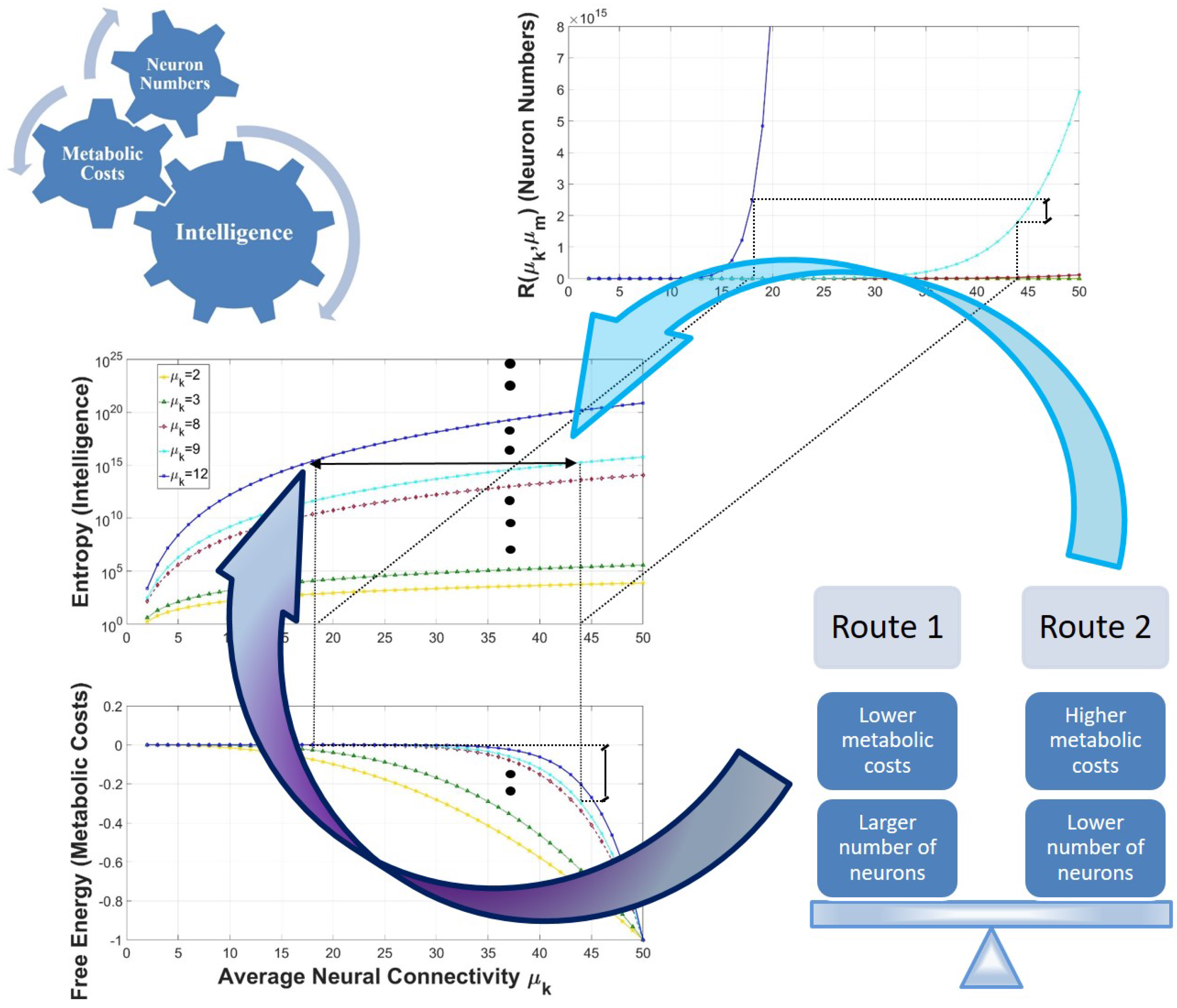 Entropy 19 00543 g003