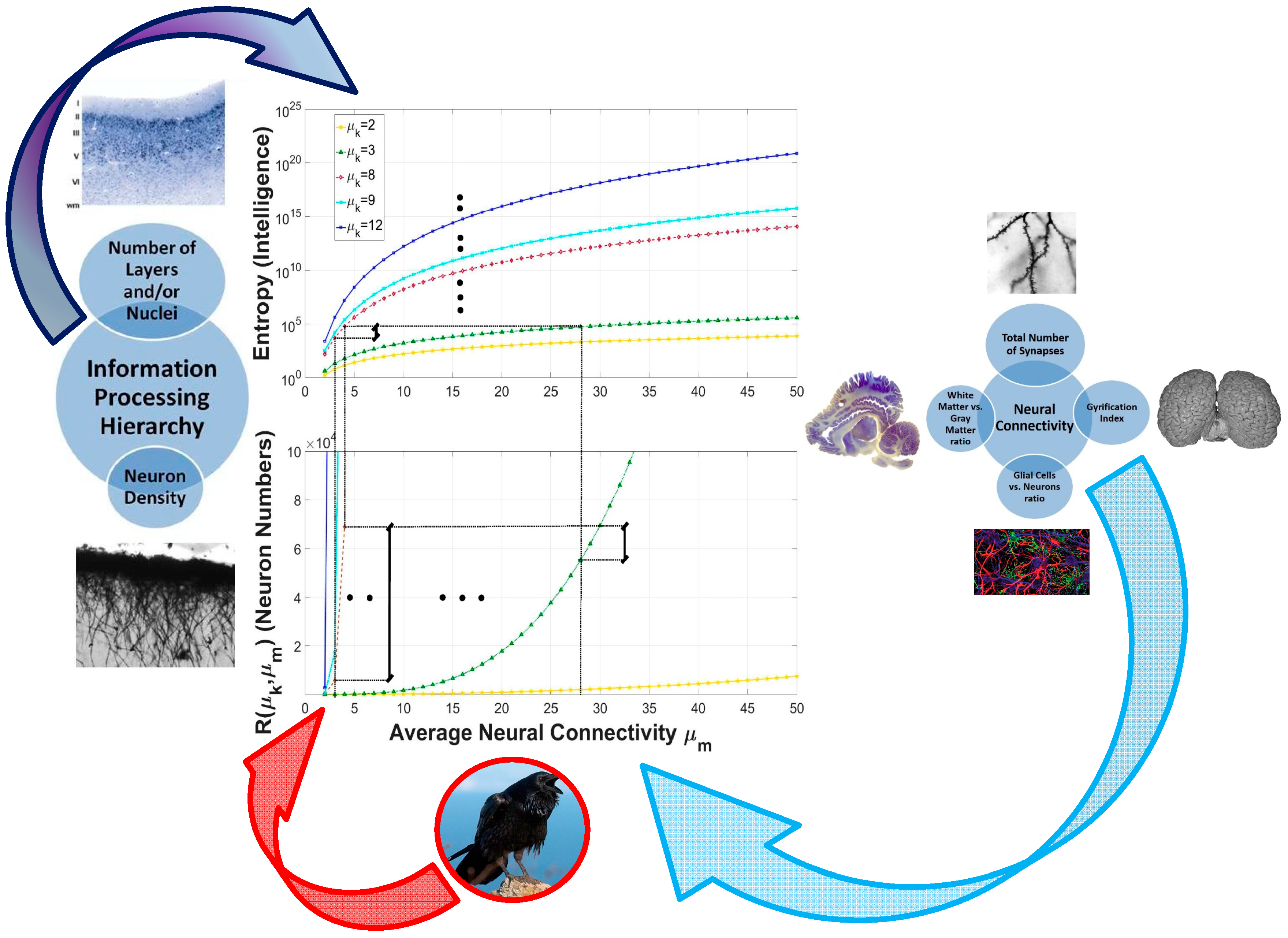 Entropy 19 00543 g004