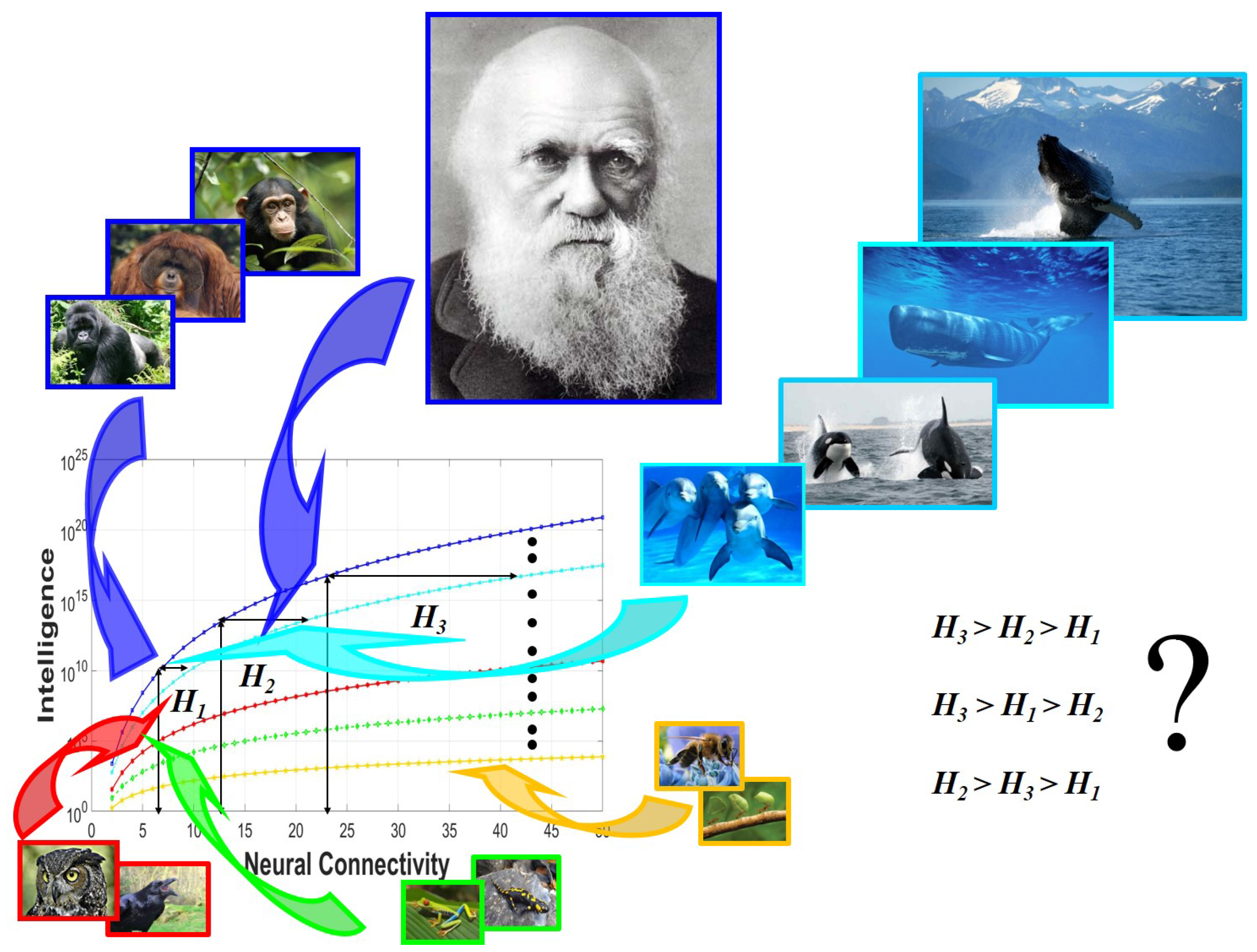 Entropy 19 00543 g005