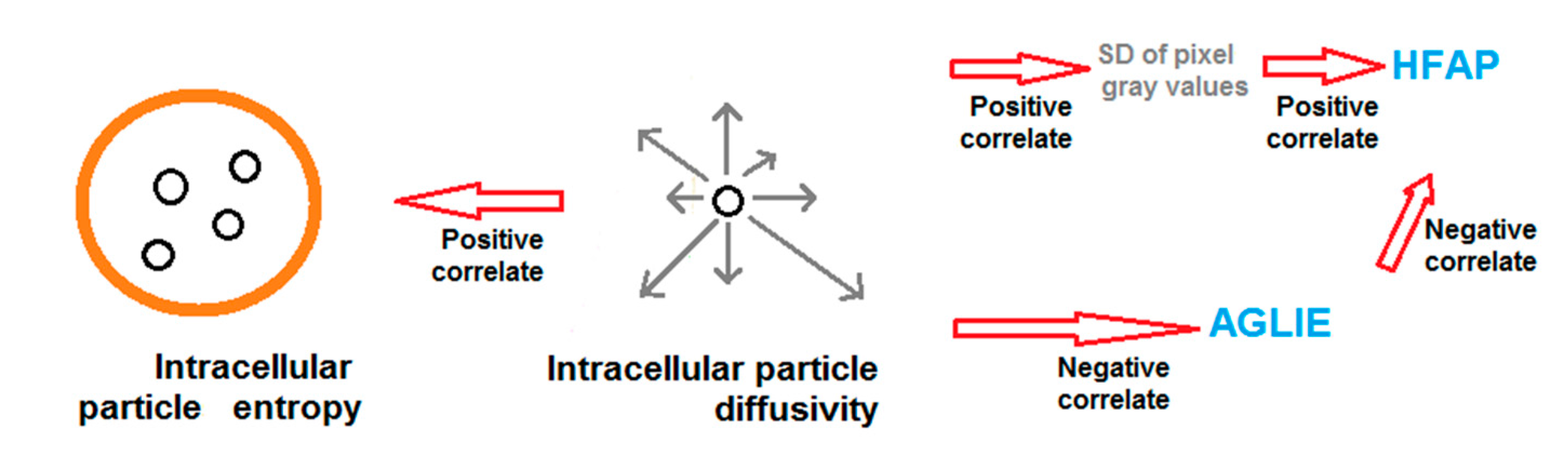 Entropy 19 00565 g005